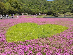 DSC_0886.JPG