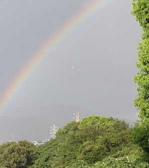 DSC_1178.JPG