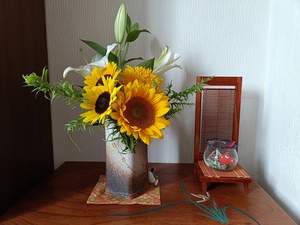IMG20250806083813.jpg