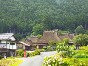 美山かやぶきの里（夏）３.JPG