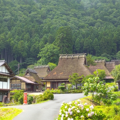 美山かやぶきの里（夏）３.JPG