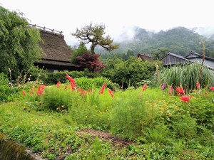 美山かやぶきの里（夏）１１.JPG