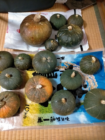 カボチャ.jpg