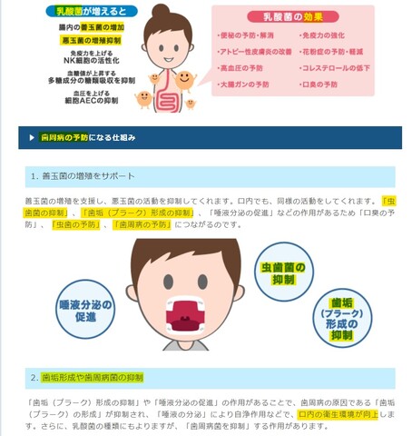 歯周病予防になる仕組み 善玉菌.jpeg