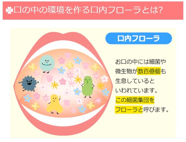 口内フローラ.jpg