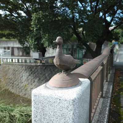 カルガモ橋.jpg