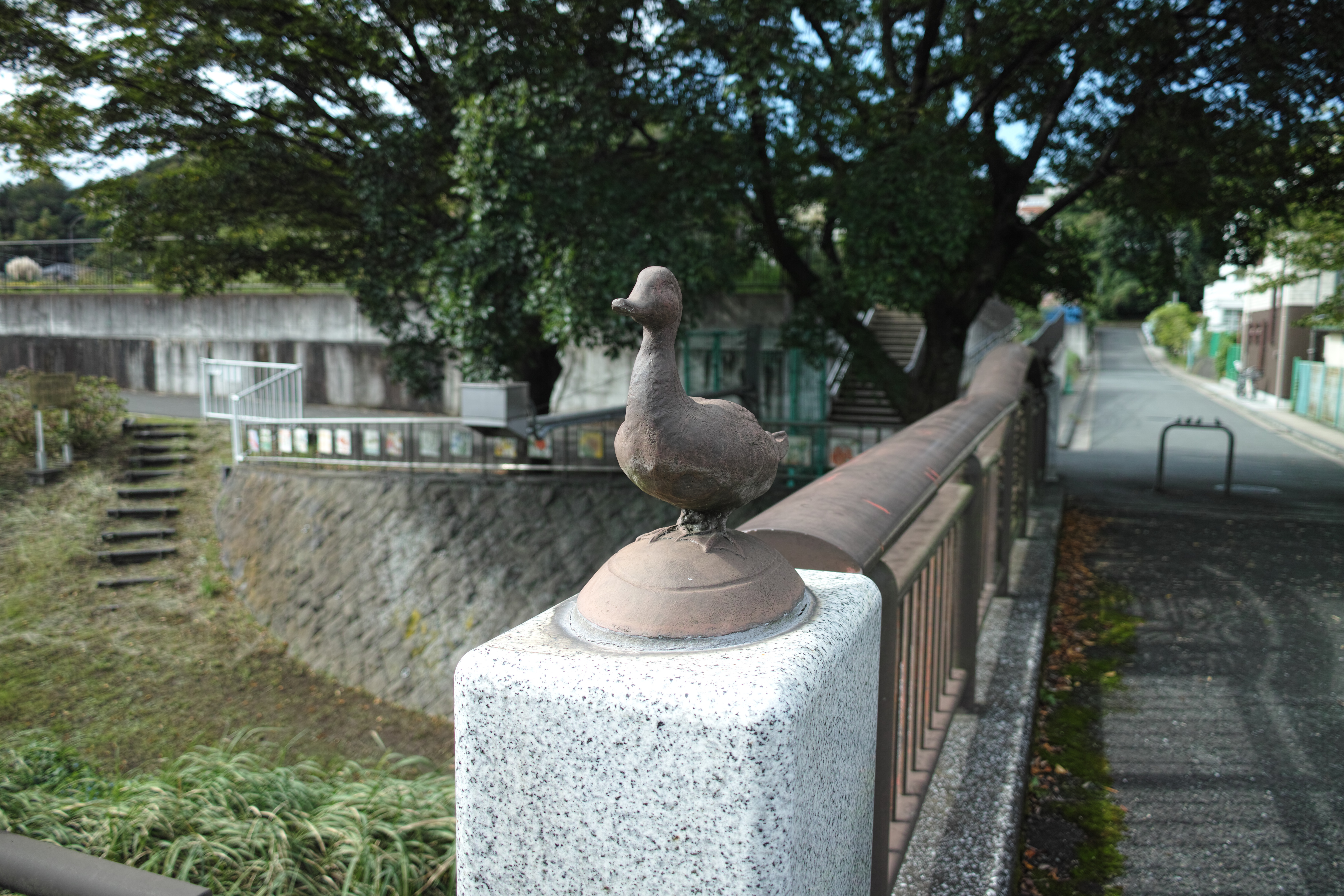 カルガモ橋.jpg