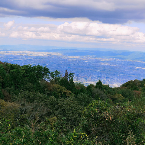 山上よりの大阪.jpg