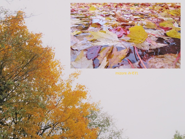 mizore.jpg