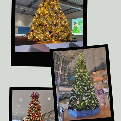 20251122_093848-COLLAGE.jpg