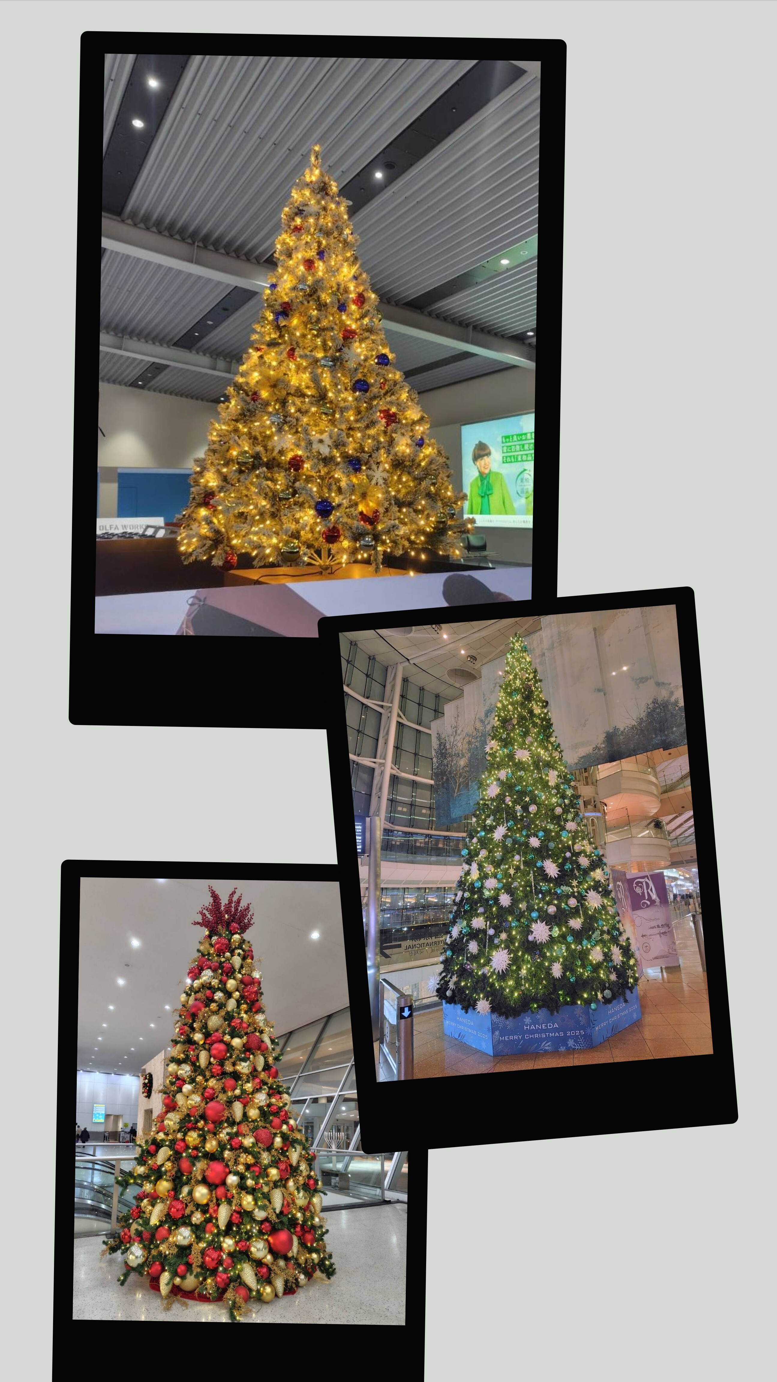 20251122_093848-COLLAGE.jpg