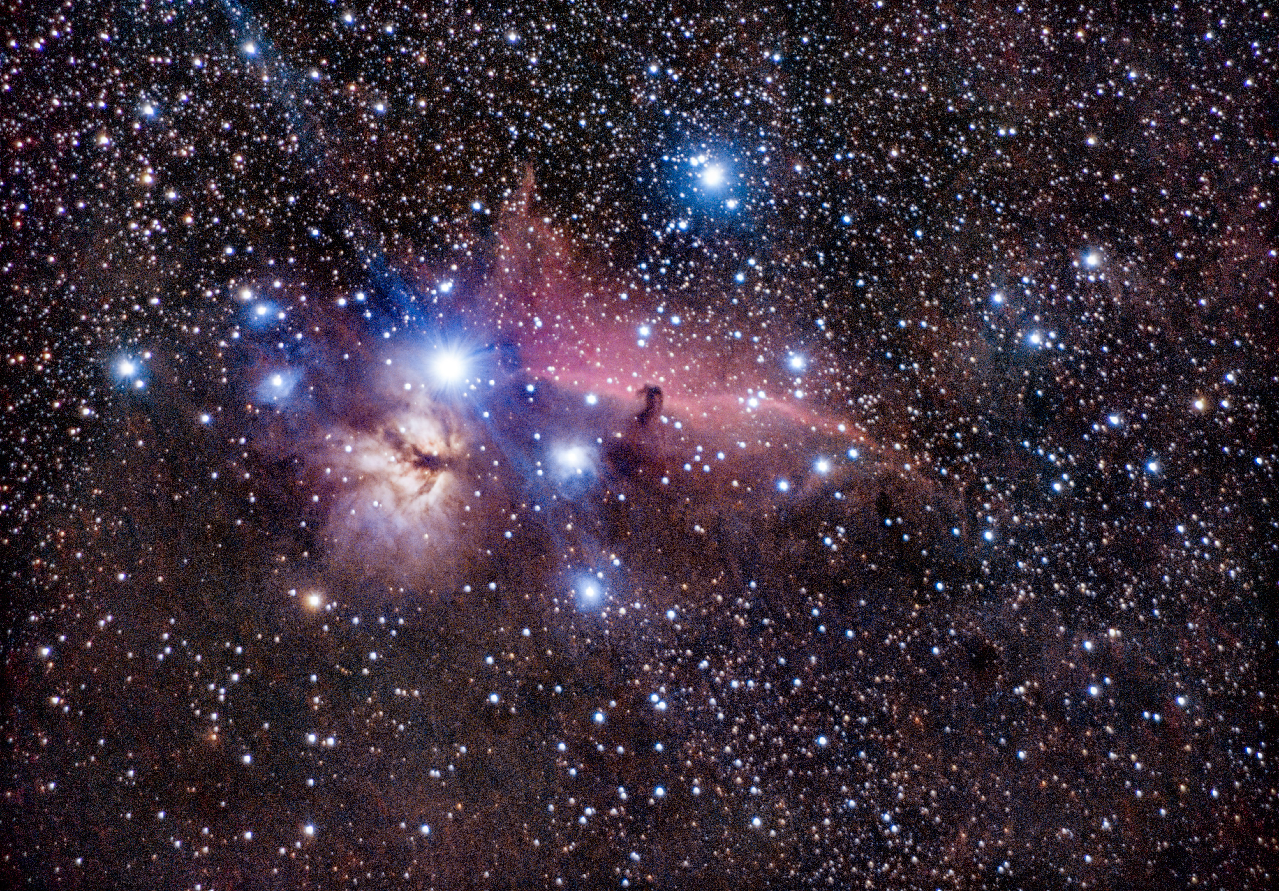 IC434-NGC2024_馬頭星雲と燃える木_20251122.jpg