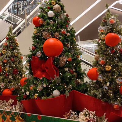 IMG_20251127_114333466_HDR.jpg