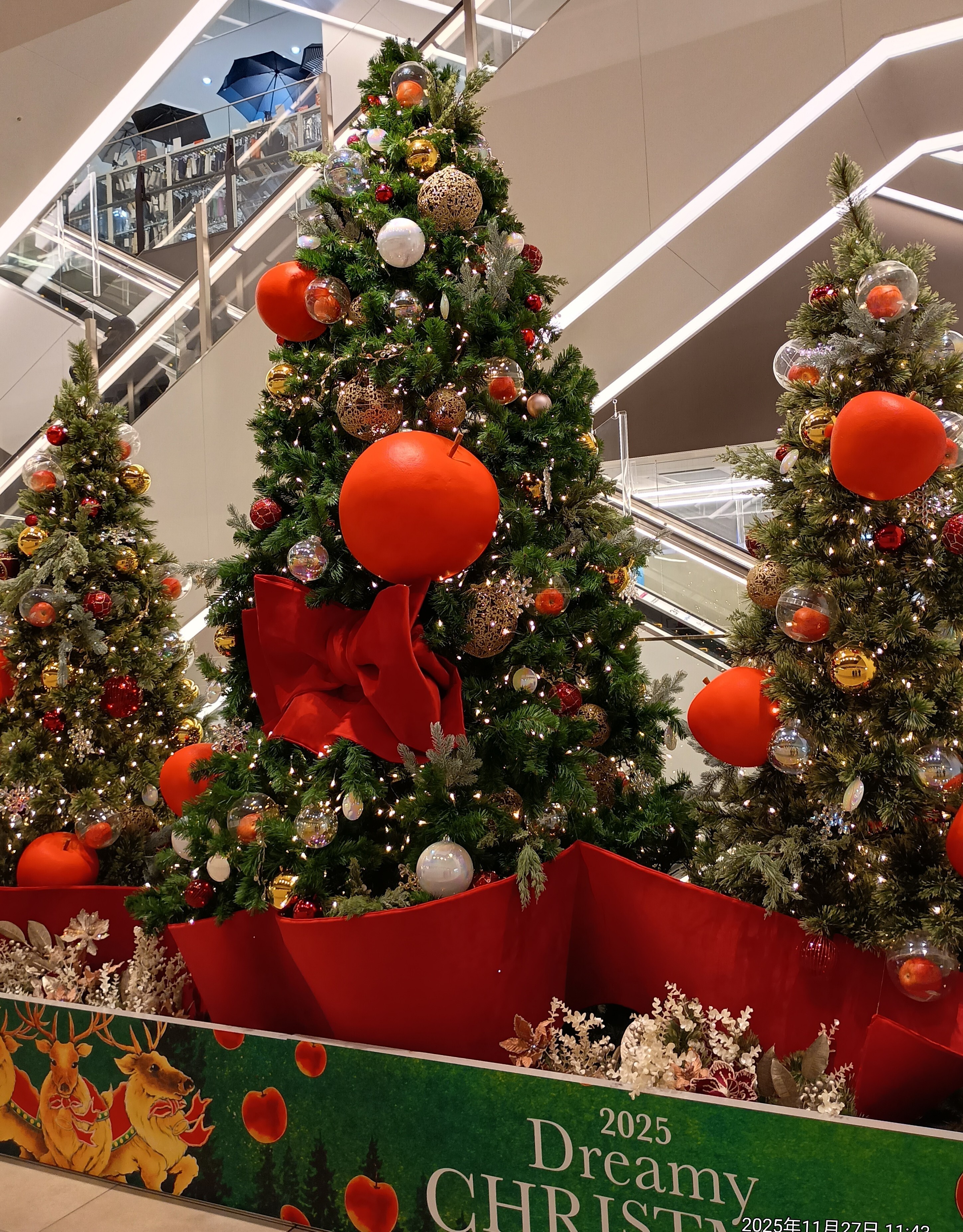 IMG_20251127_114333466_HDR.jpg