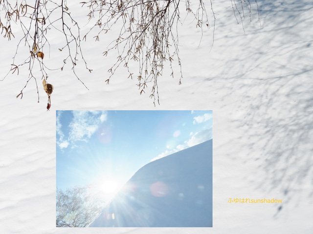 ふゆはれsunshadow.jpg