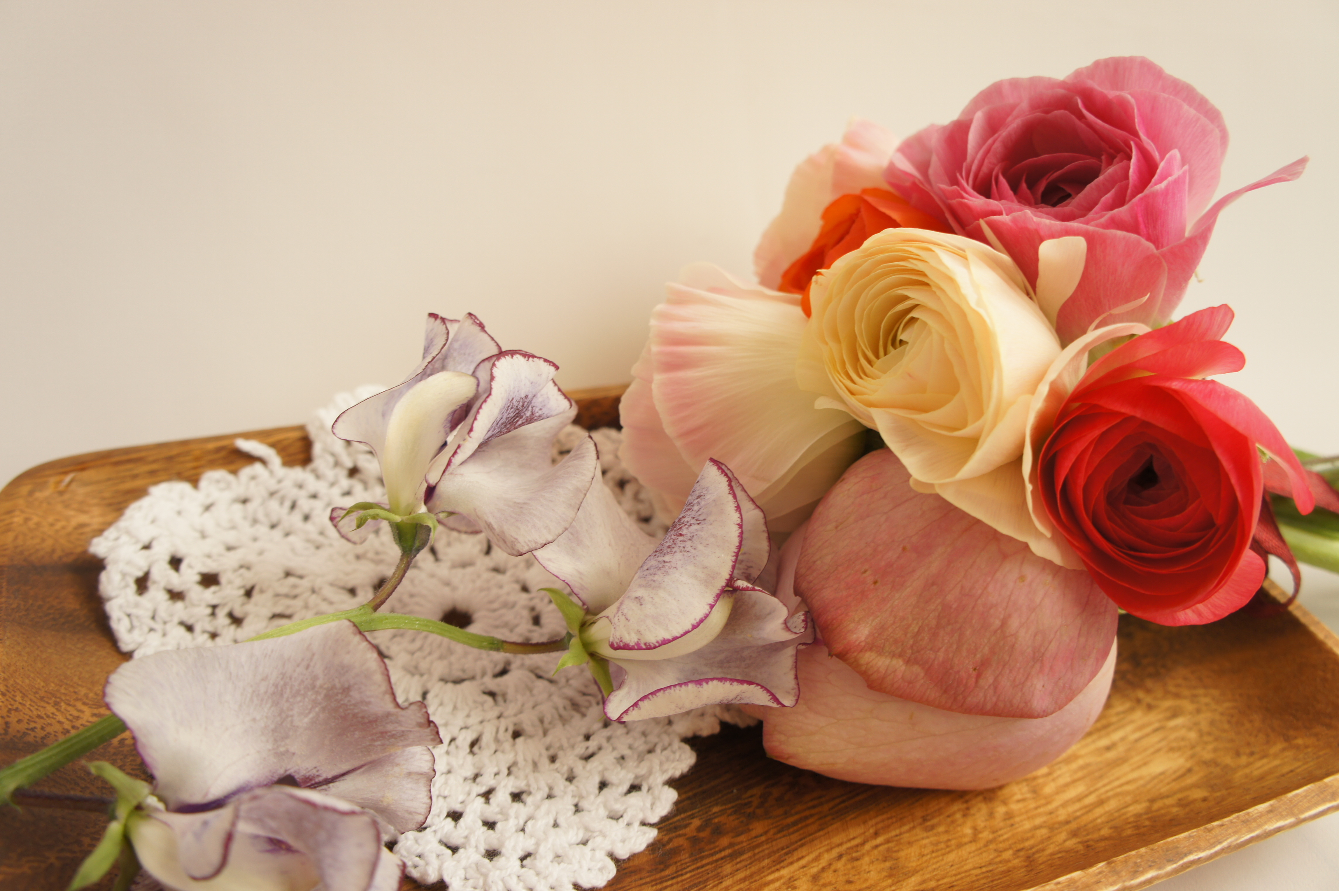 DSC04112.JPG