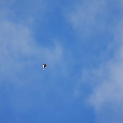 DSC05002.jpeg