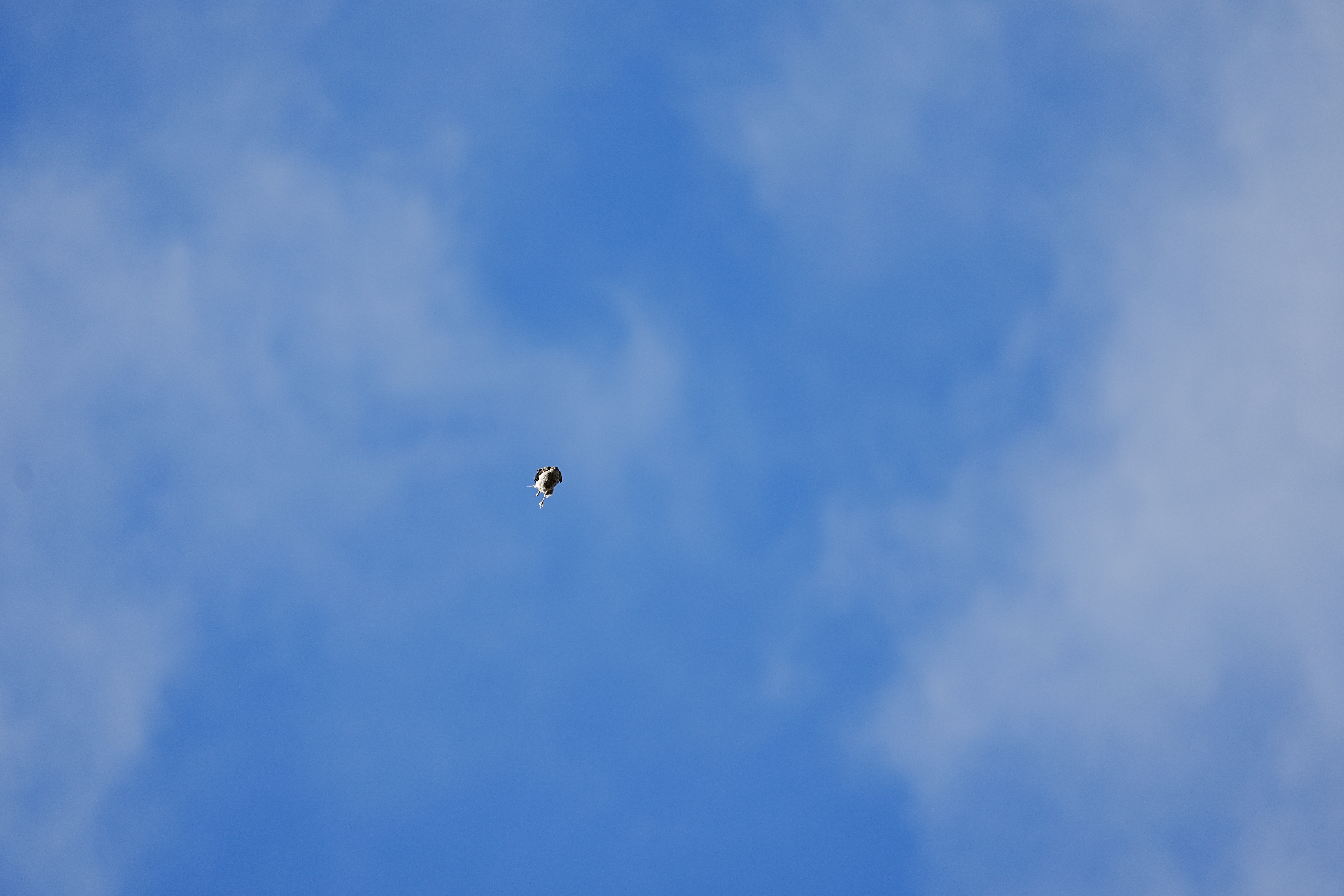 DSC05002.jpeg