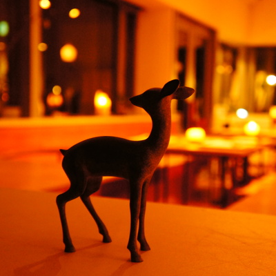 DSC04868.JPG