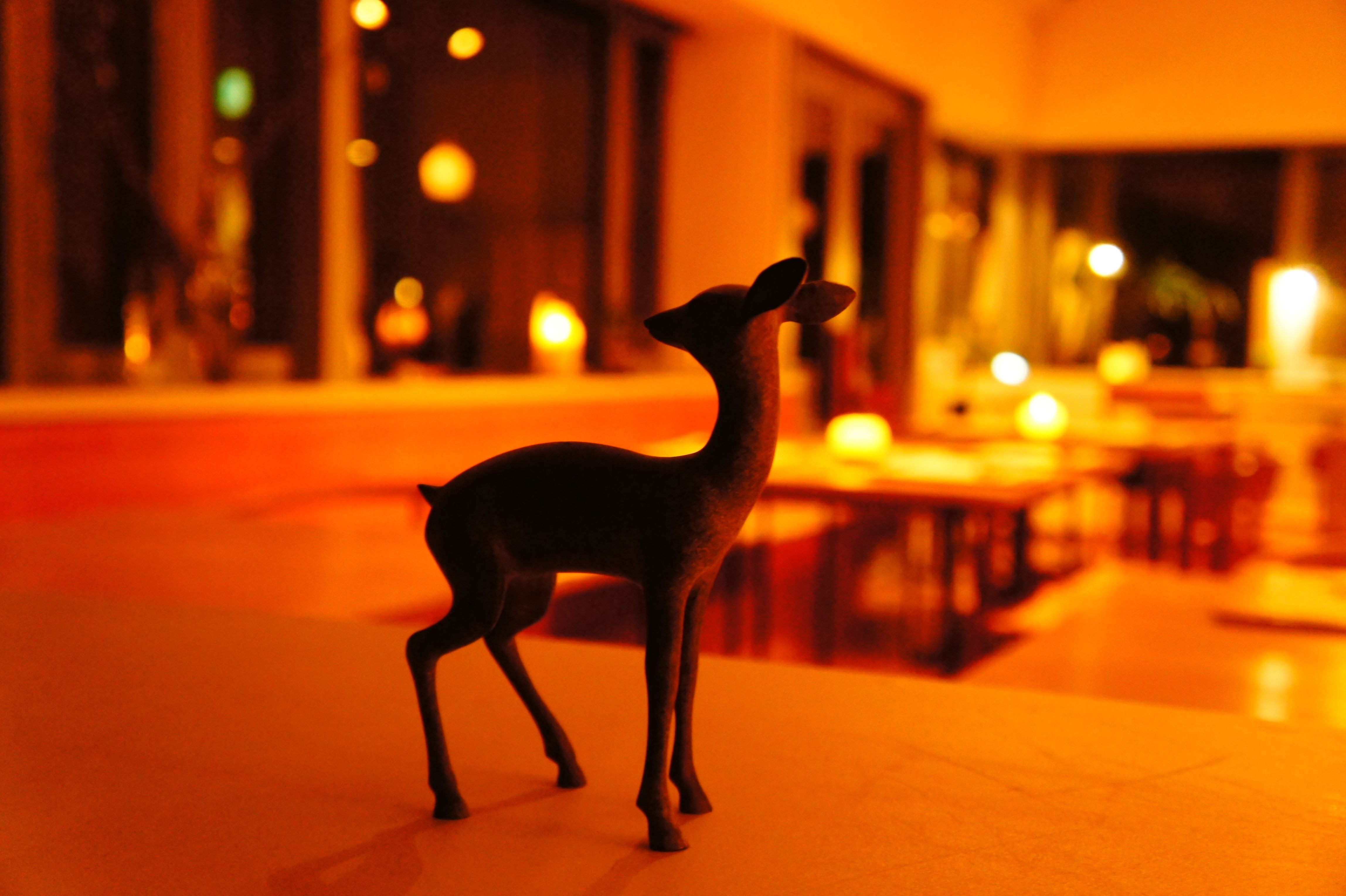 DSC04868.JPG