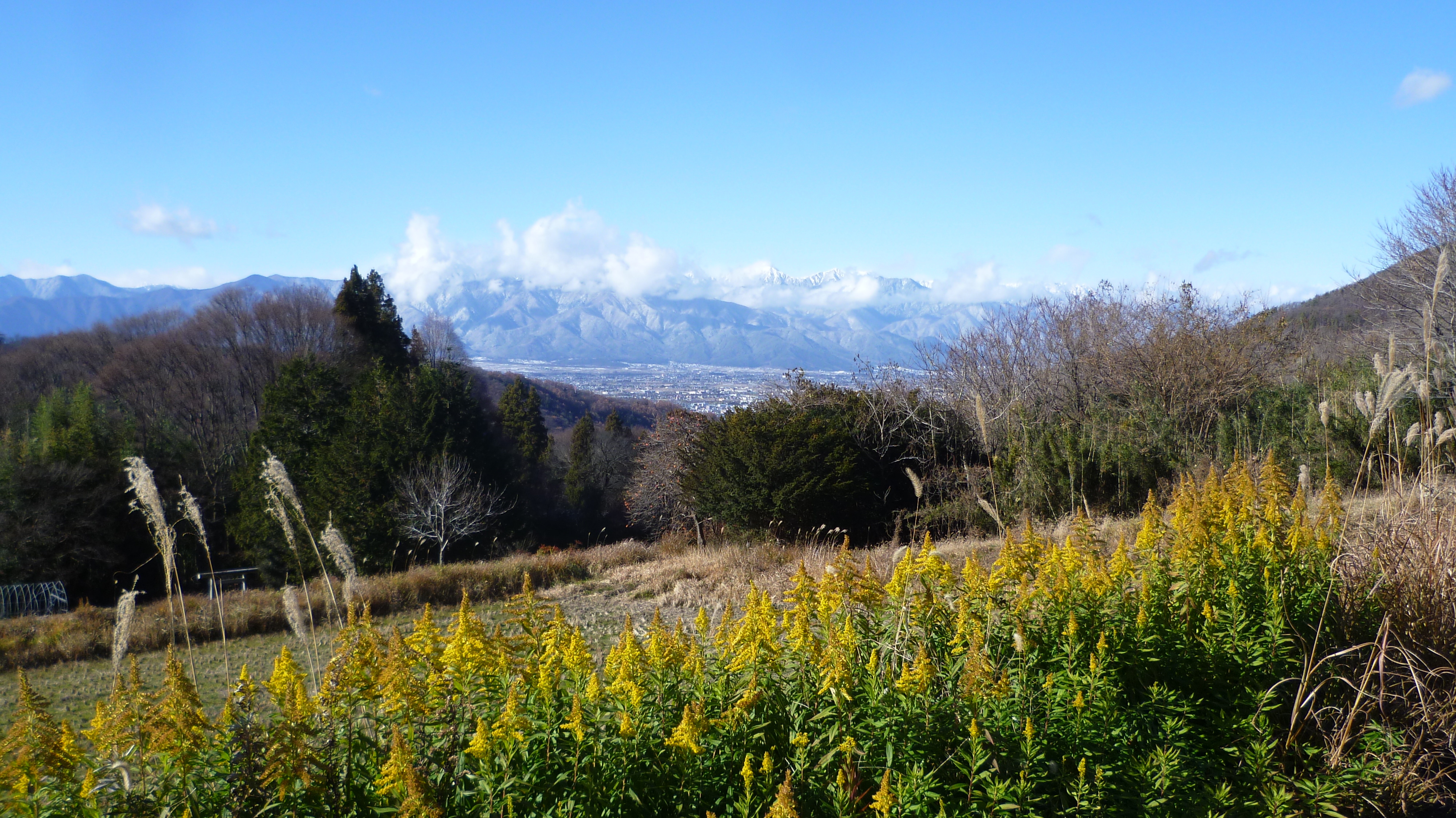 P1070819.JPG