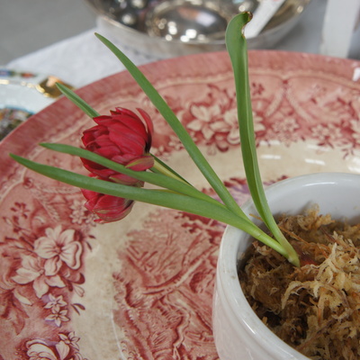 DSC02484.JPG