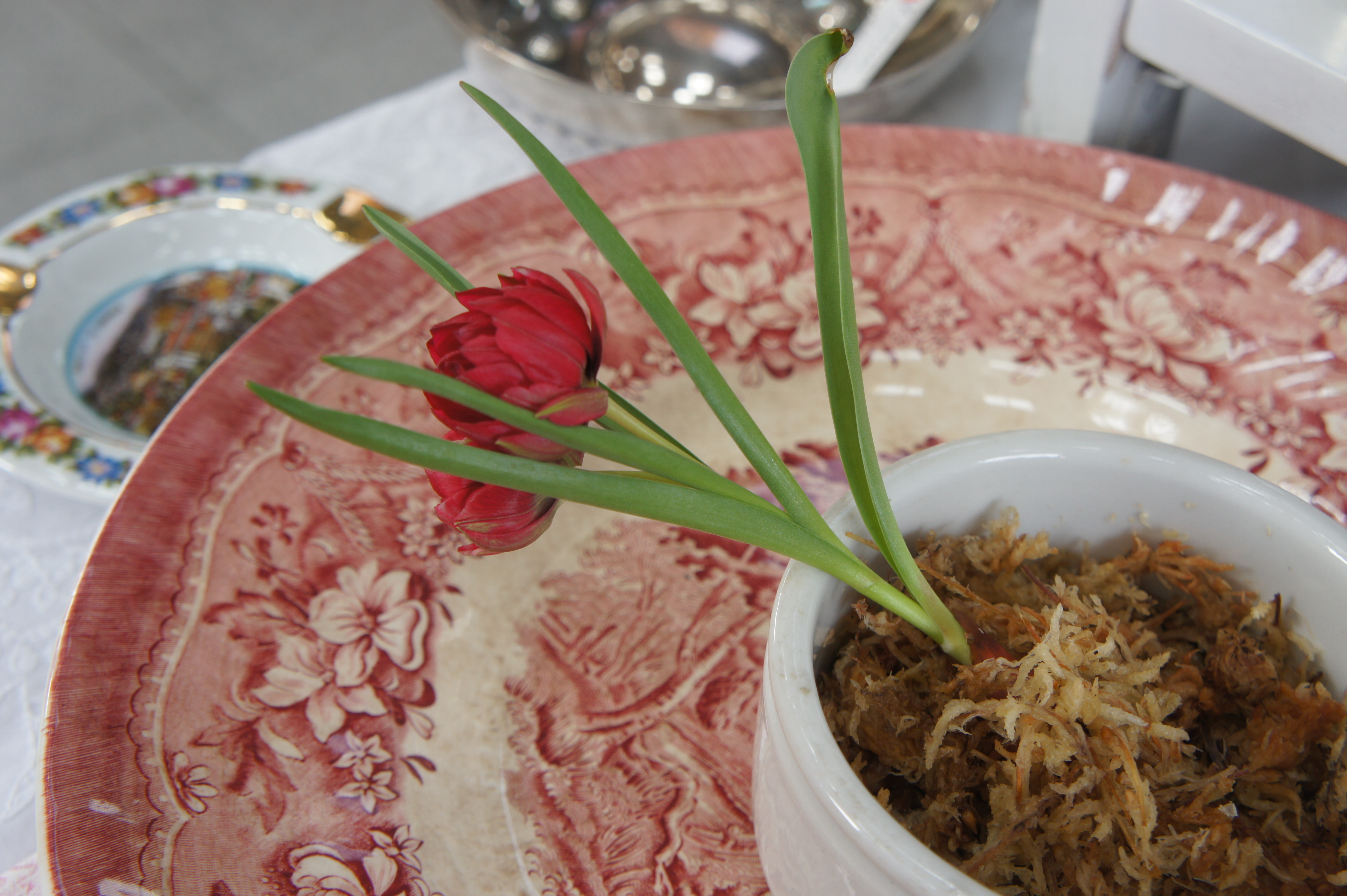 DSC02484.JPG