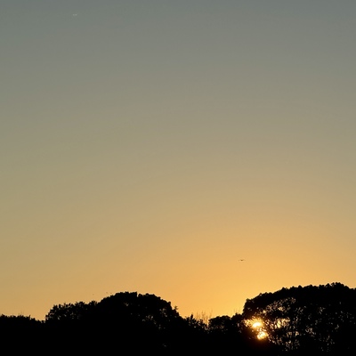 IMG_0740.jpeg