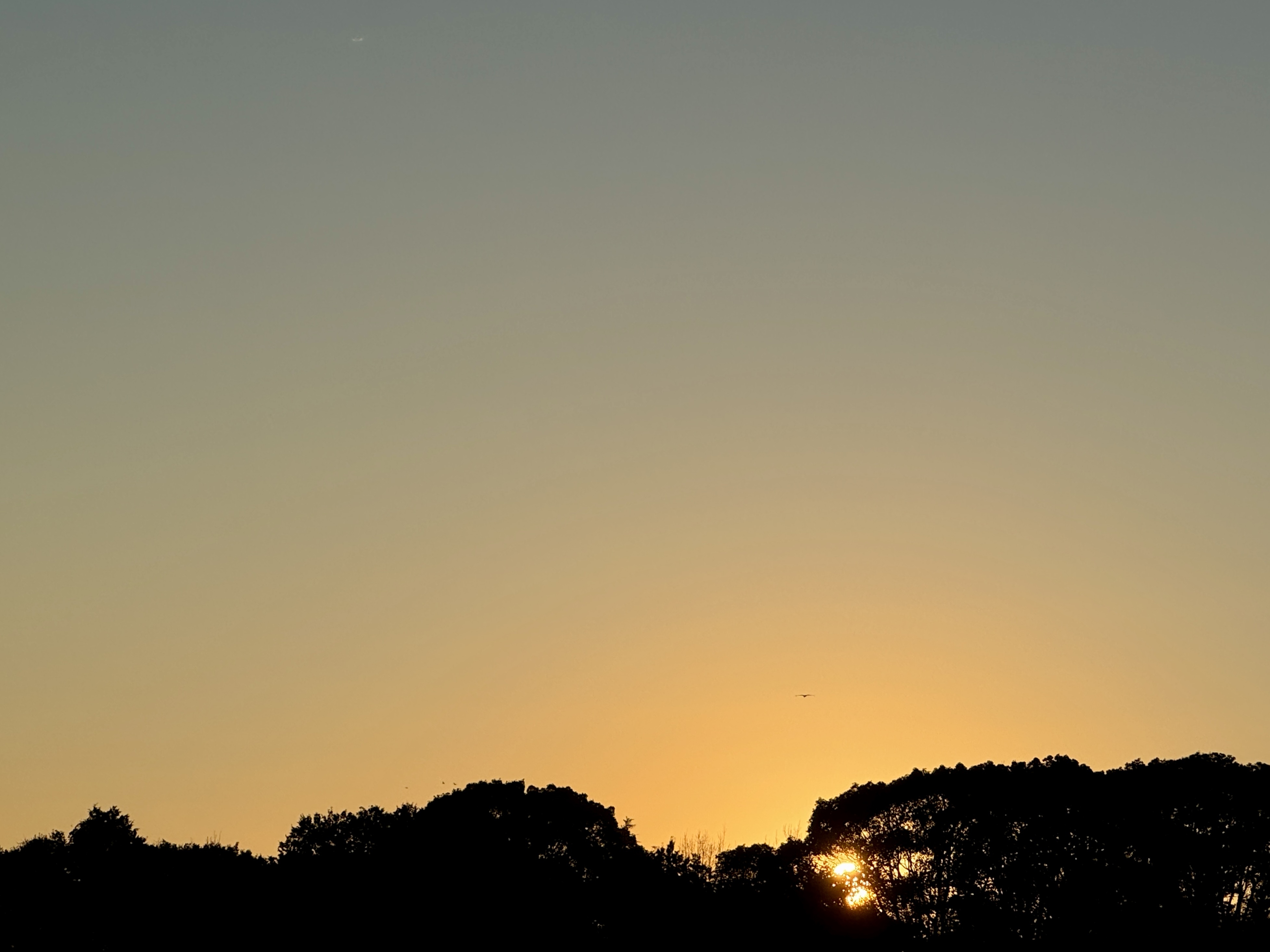 IMG_0740.jpeg