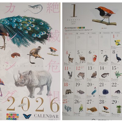 20260101_164936-COLLAGE.jpg