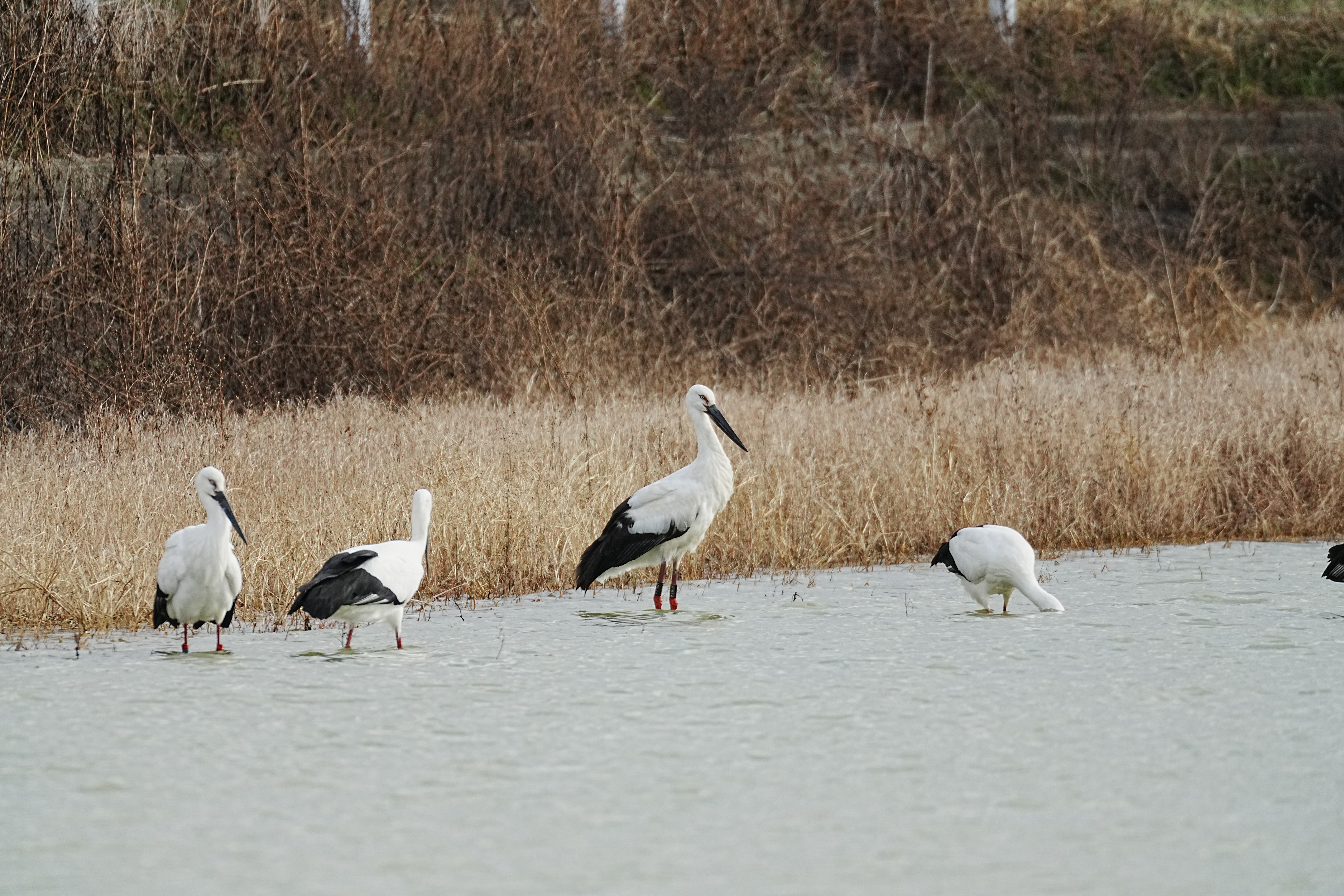 IMG_0835.jpeg