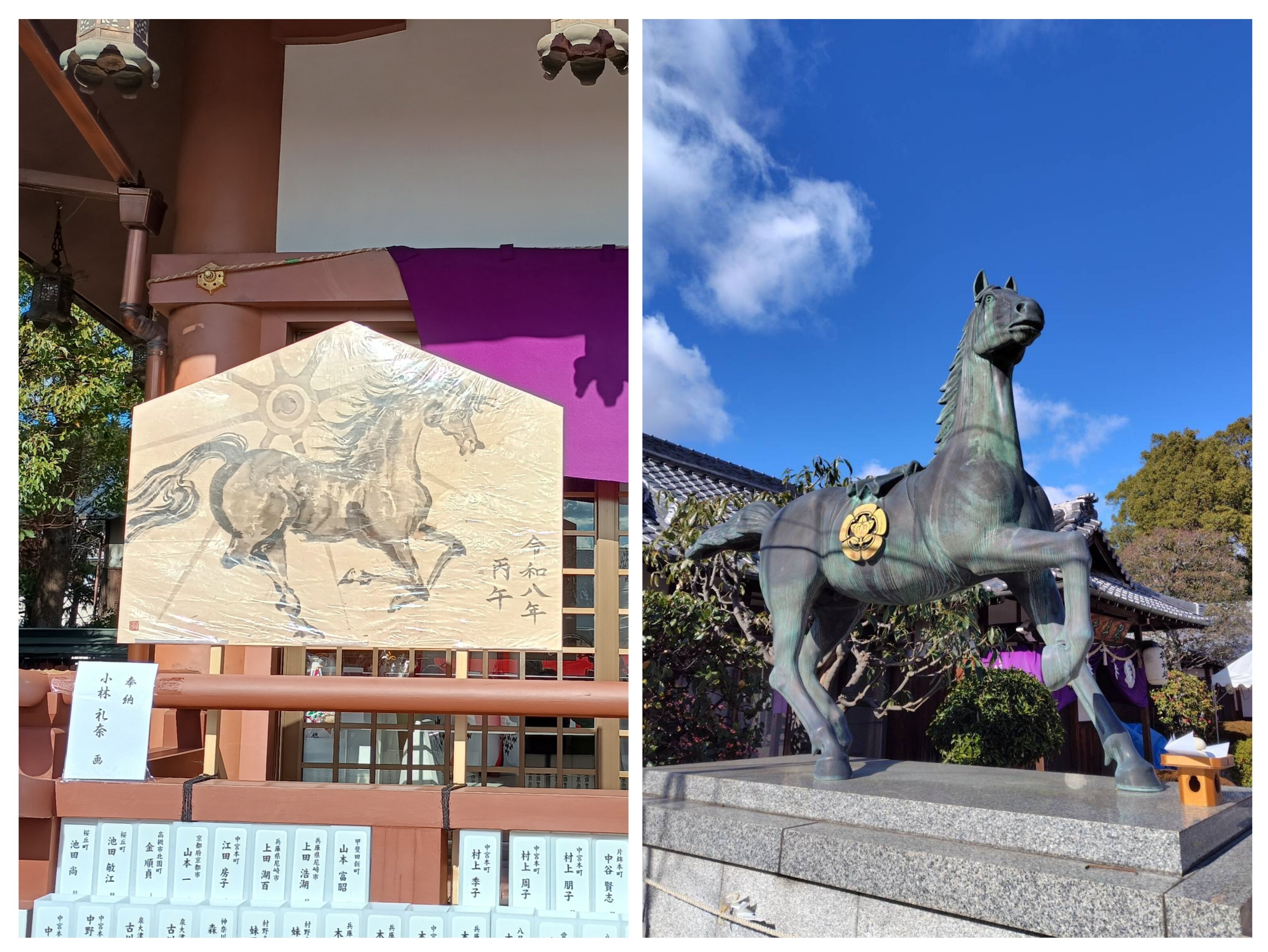 20260109_202818-COLLAGE.jpg