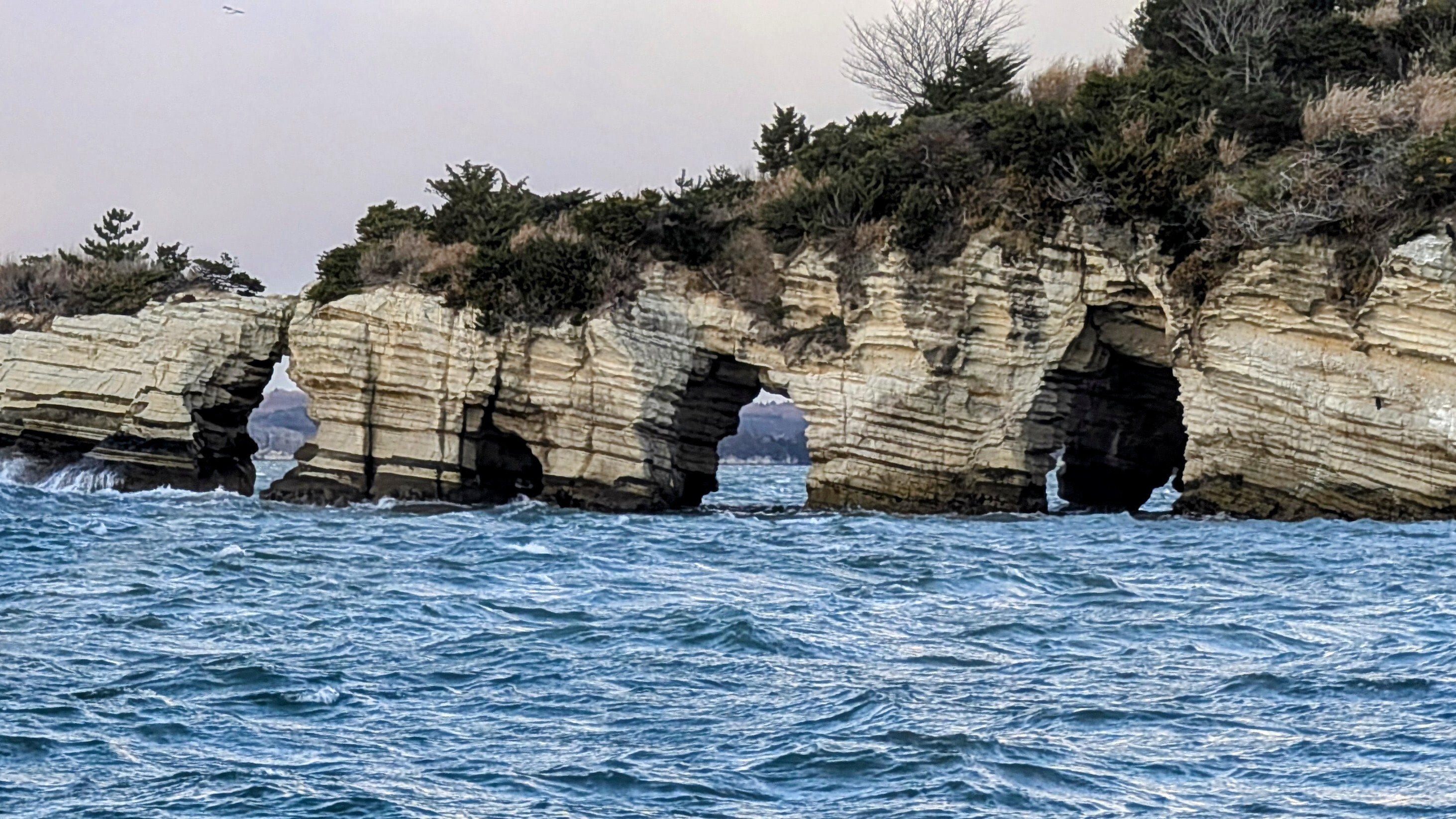 PXL_20251215_062045924_2.jpg