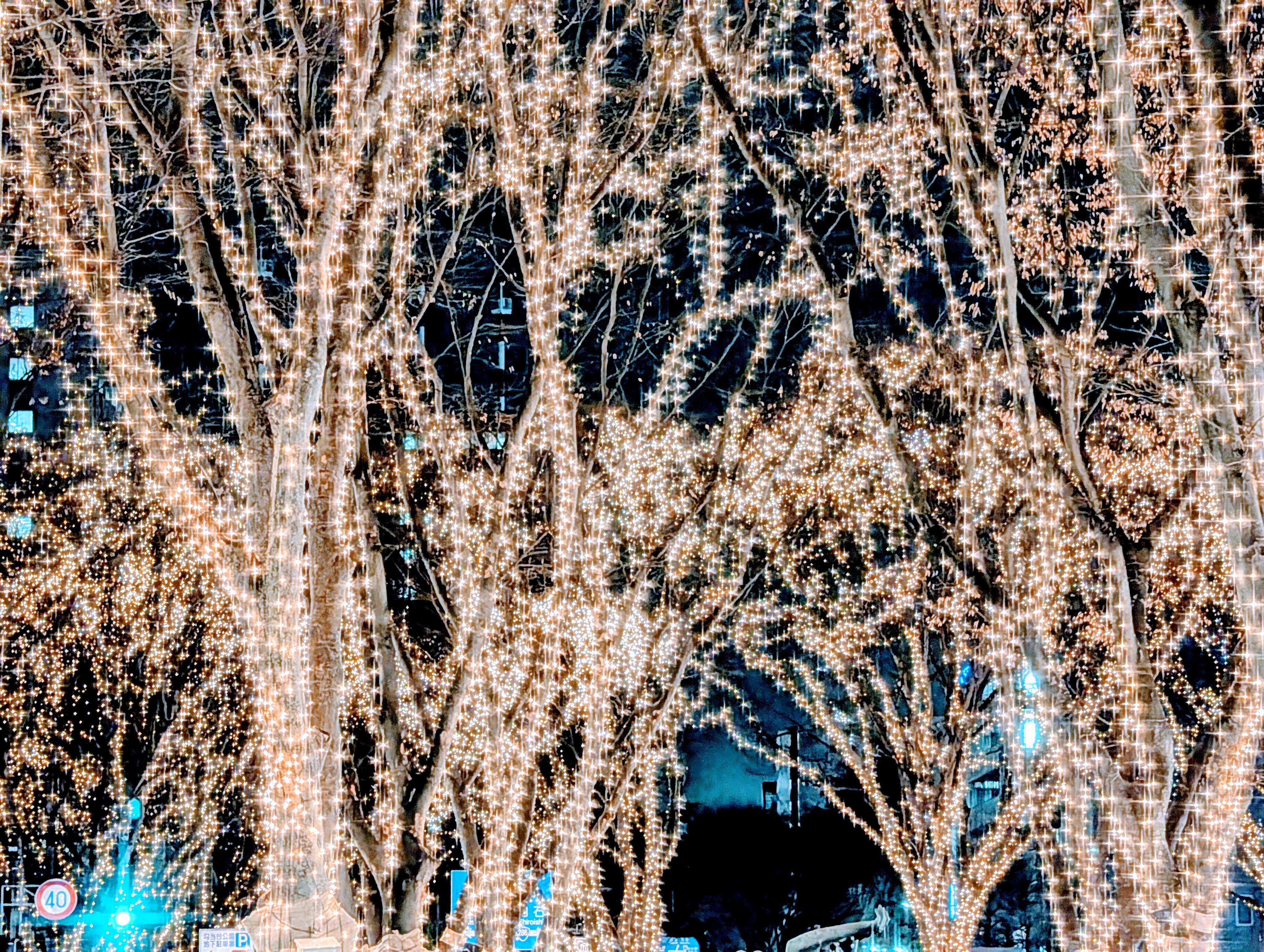 PXL_20251215_112734440_3.jpg