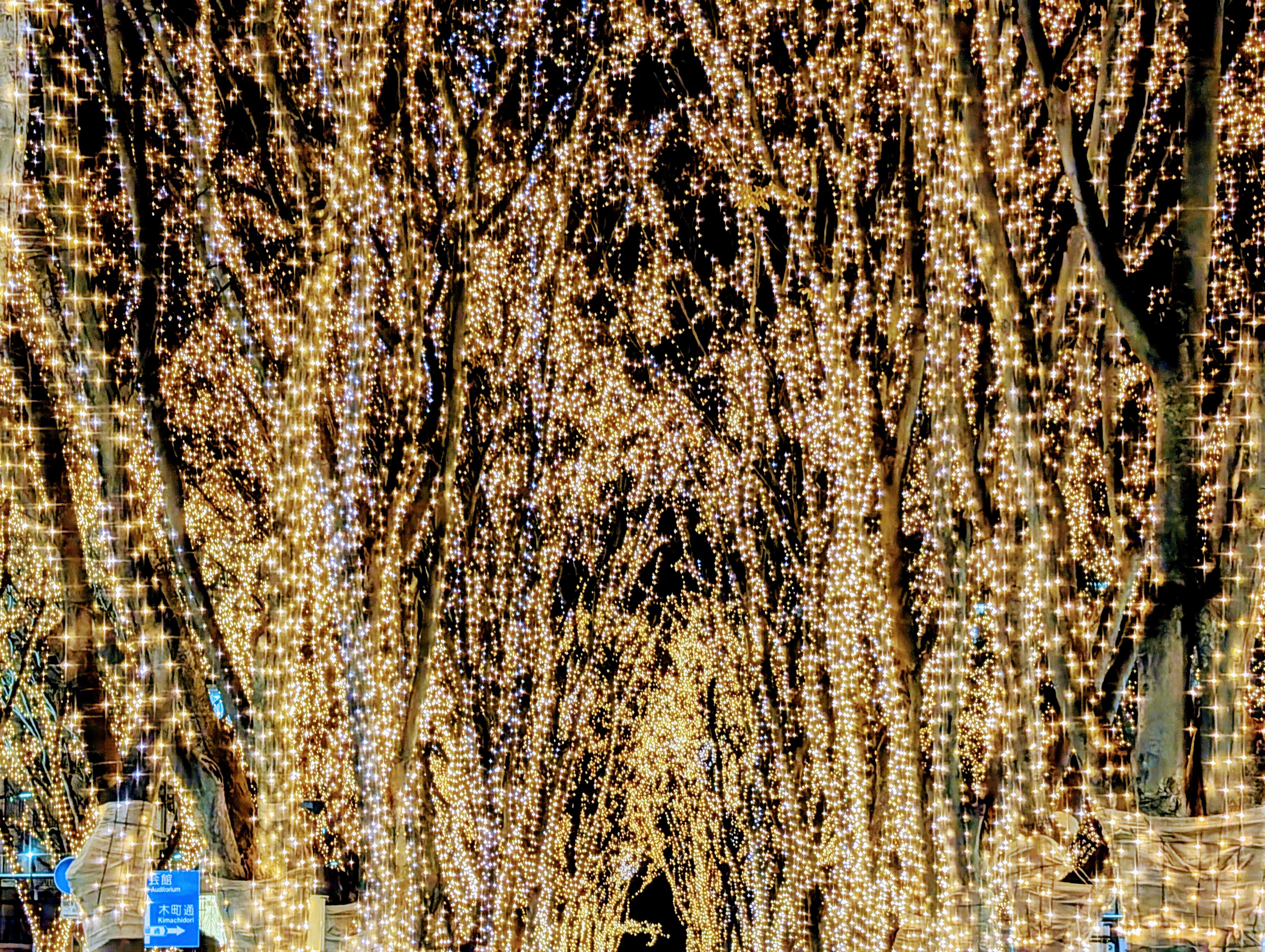 PXL_20251215_112545140_3.jpg