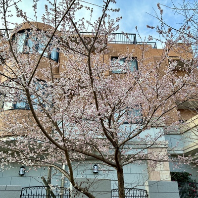 IMG_2614.jpeg