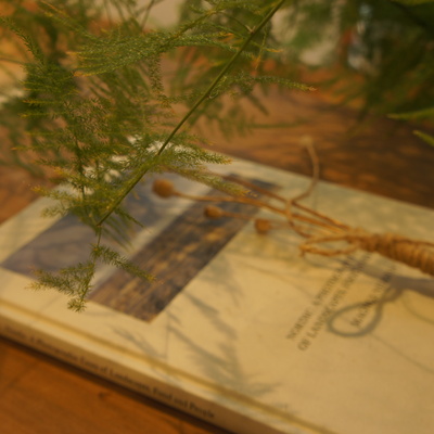 DSC02847.JPG