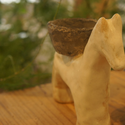 DSC02844.JPG