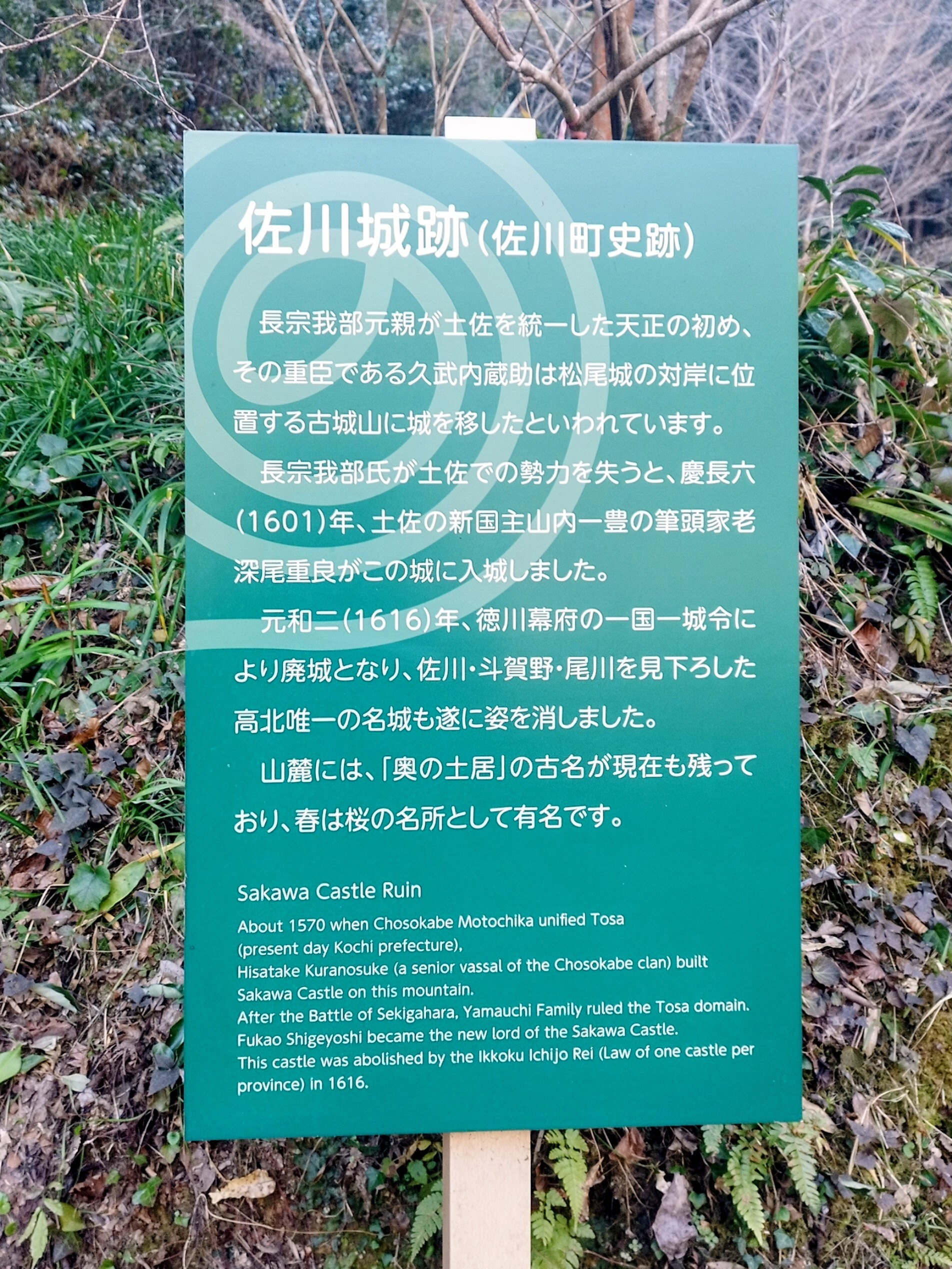IMG_20260201_093715_2.jpg