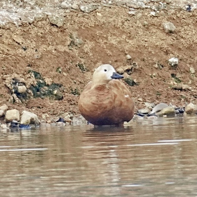 DSC05487.jpeg