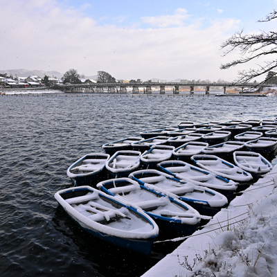 DSC_7190.jpg
