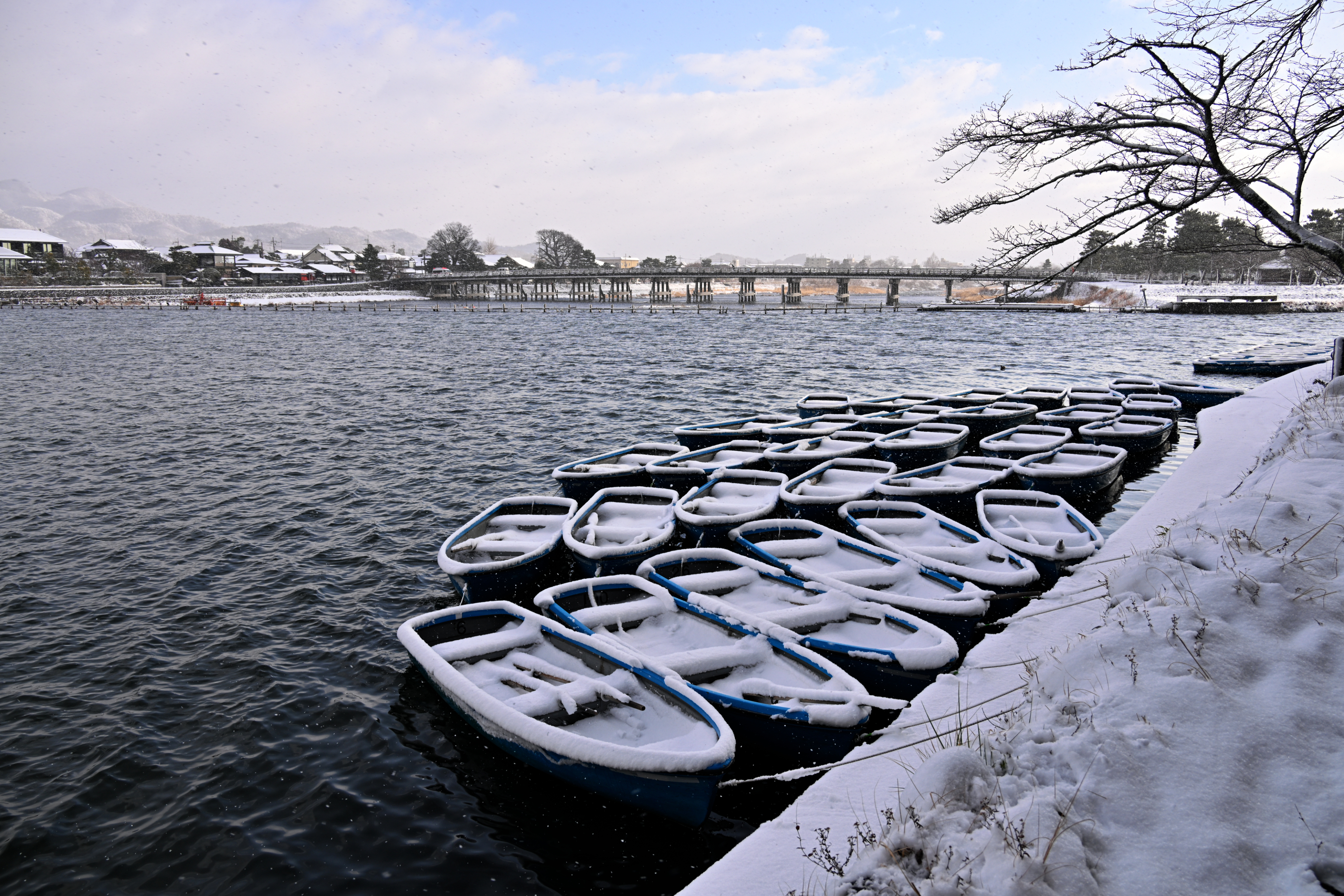 DSC_7190.jpg