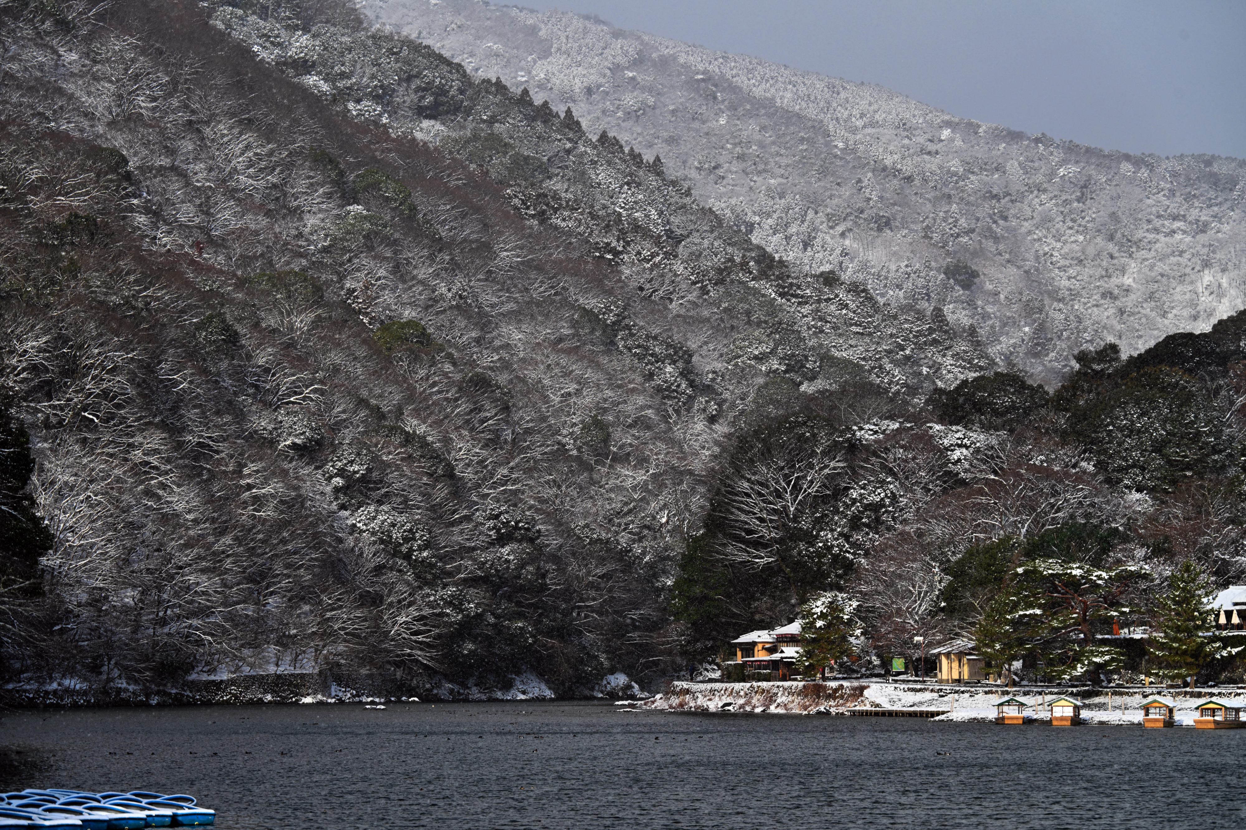DSC_7185.jpg