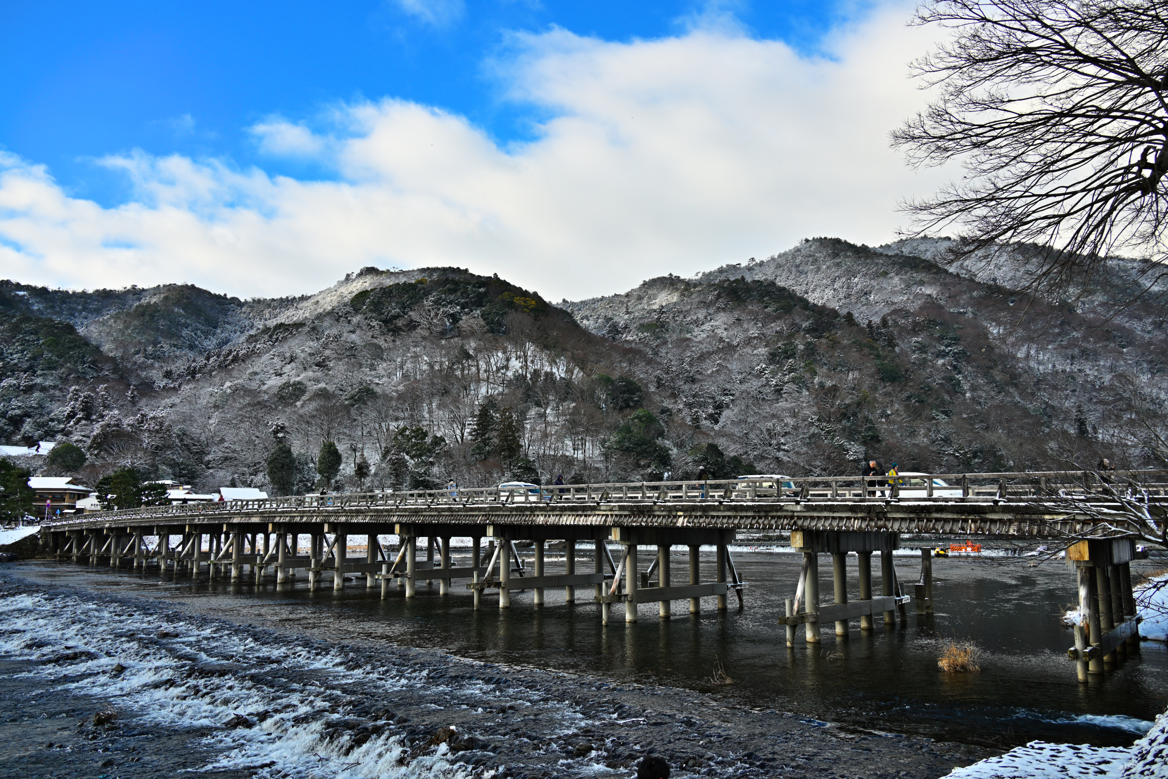 DSC_7171.jpg