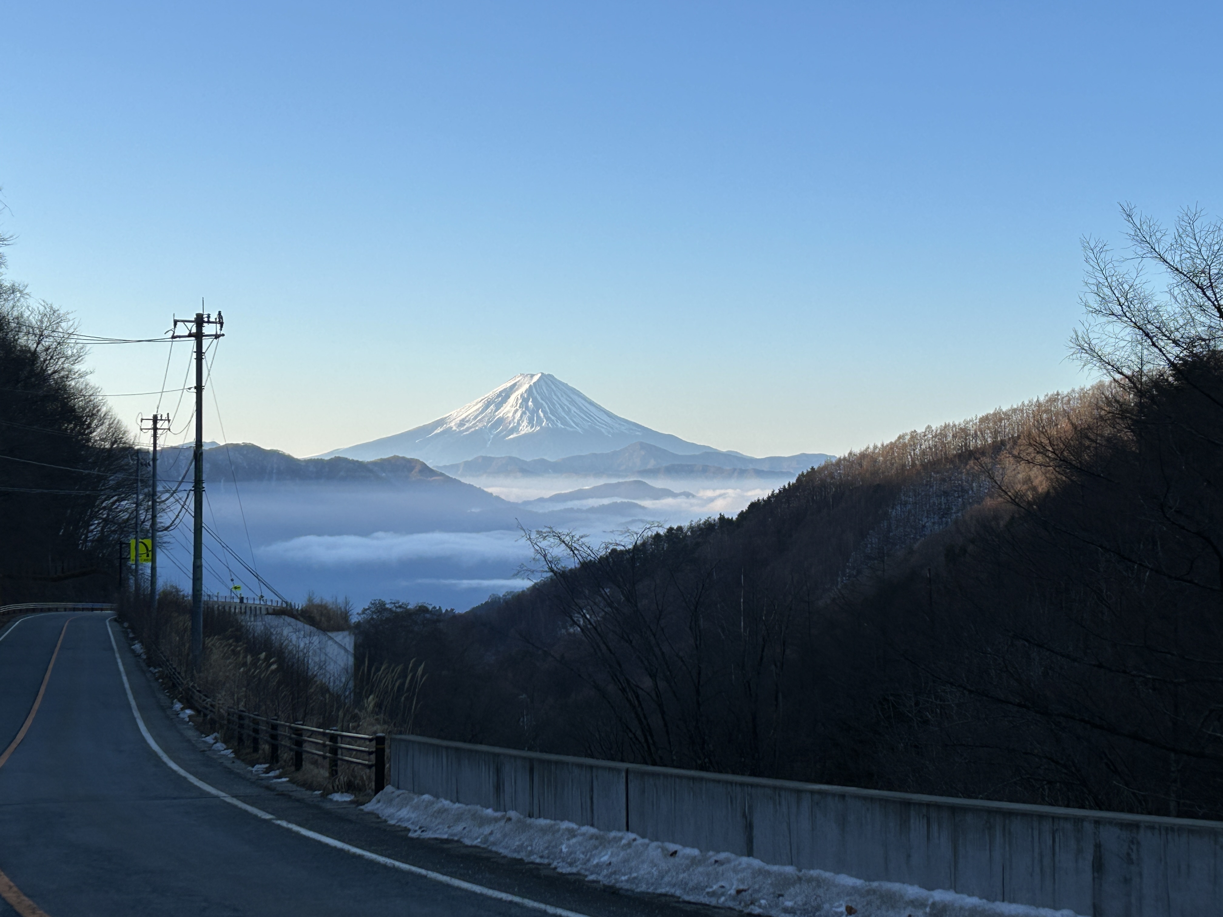 IMG_9491.JPG
