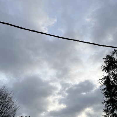 IMG_2783.jpeg
