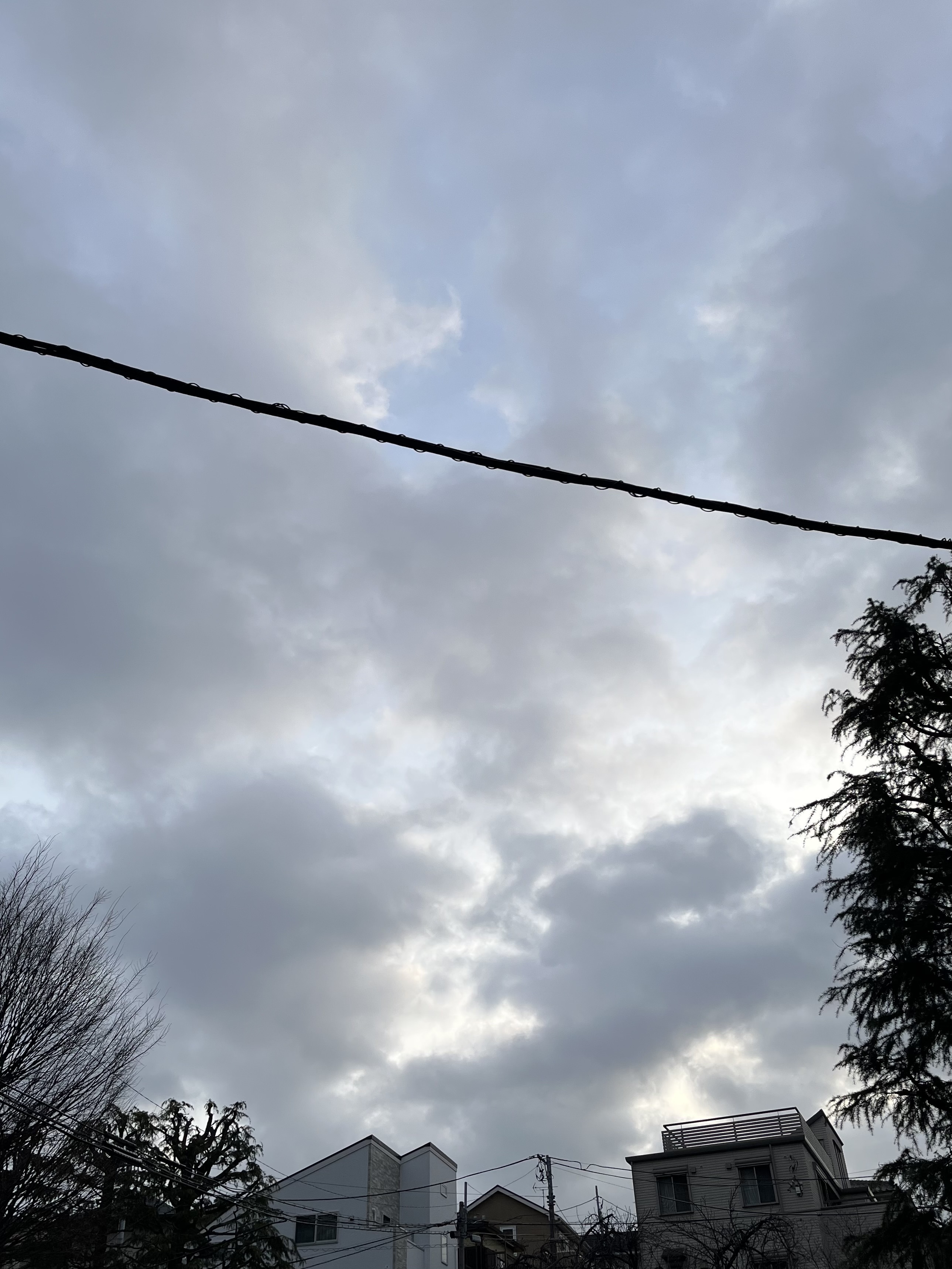 IMG_2783.jpeg