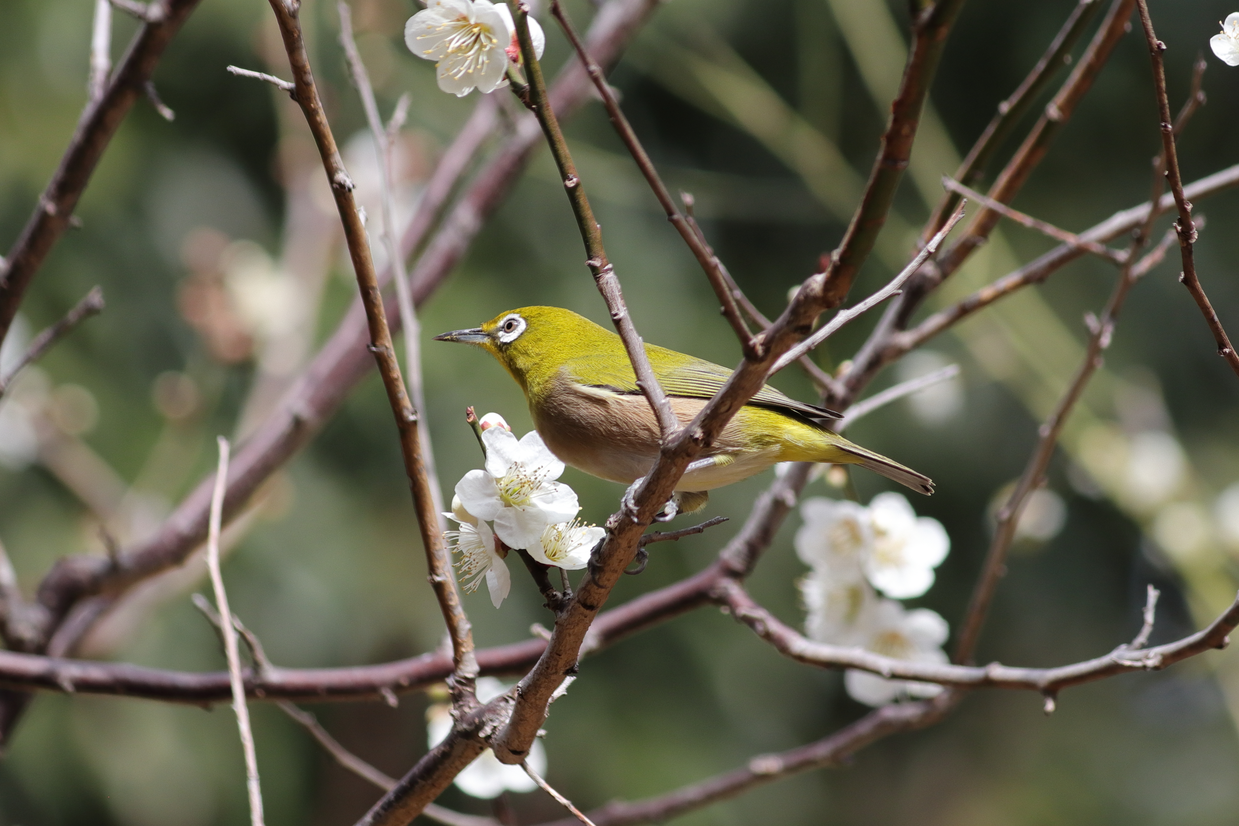 IMG_9845.JPG