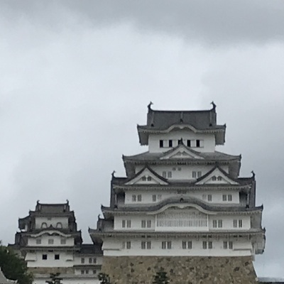IMG_0016.jpeg