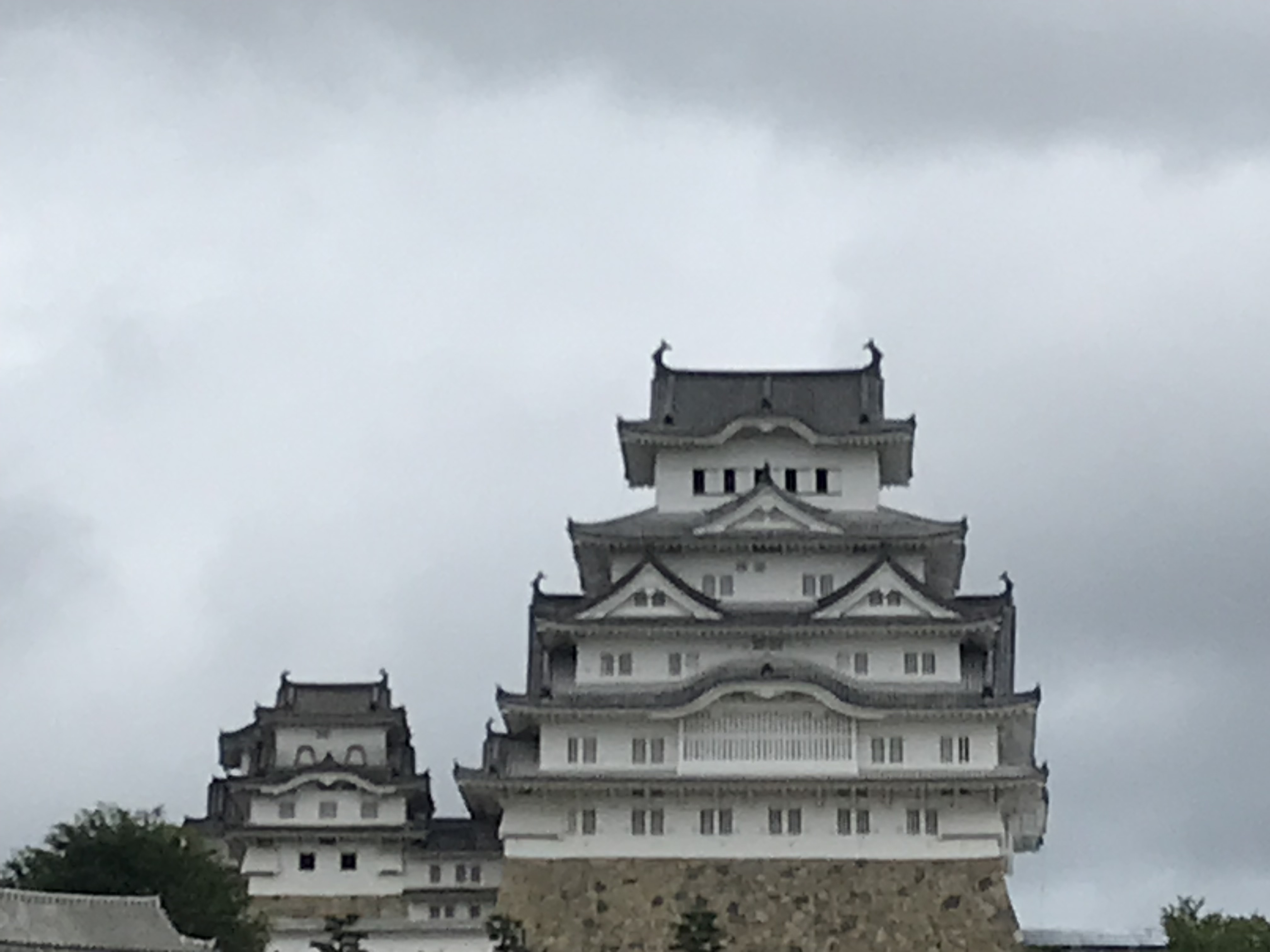 IMG_0016.jpeg